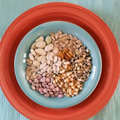 The Homeschool Quest The Homeschool Quest