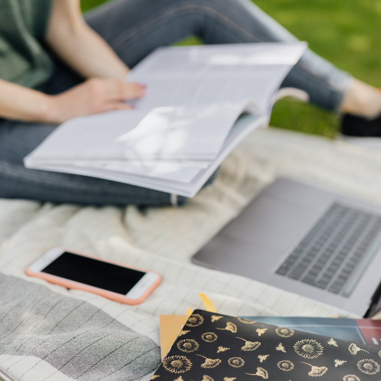 The Homeschool Quest The Homeschool Quest