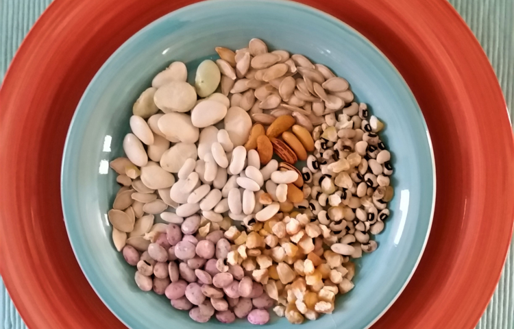 The Homeschool Quest